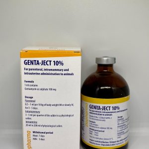 GENTAJECT 10% 100ML