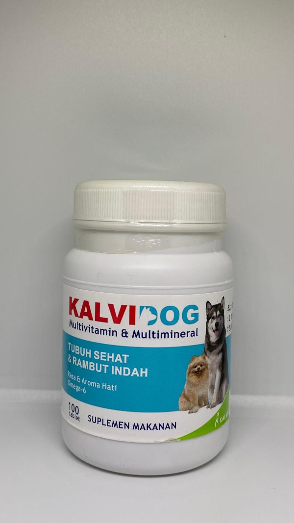 KALVIDOG ( 100TAB )