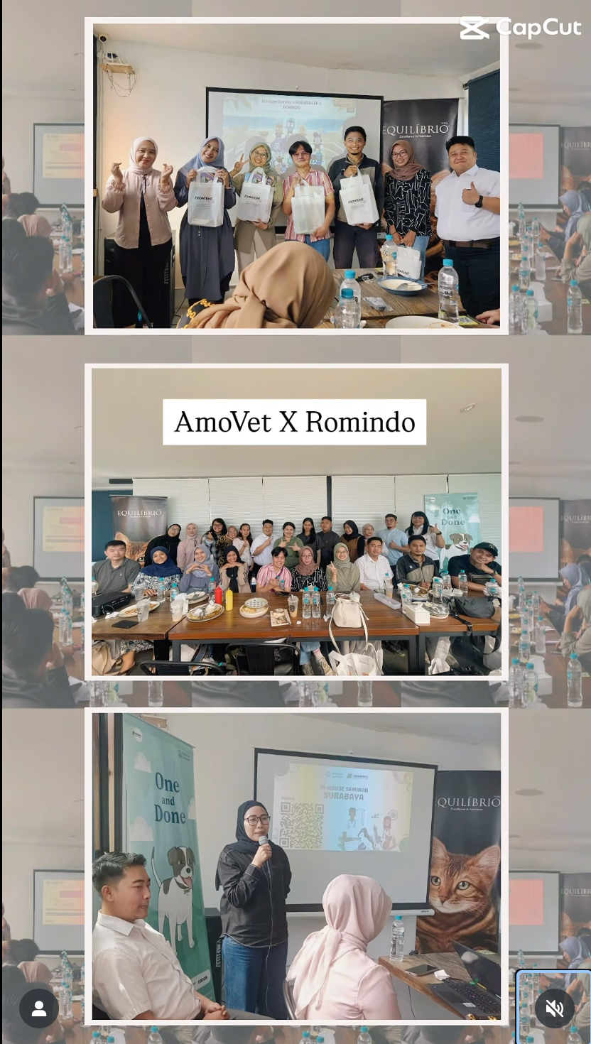 Amovet X Romindo