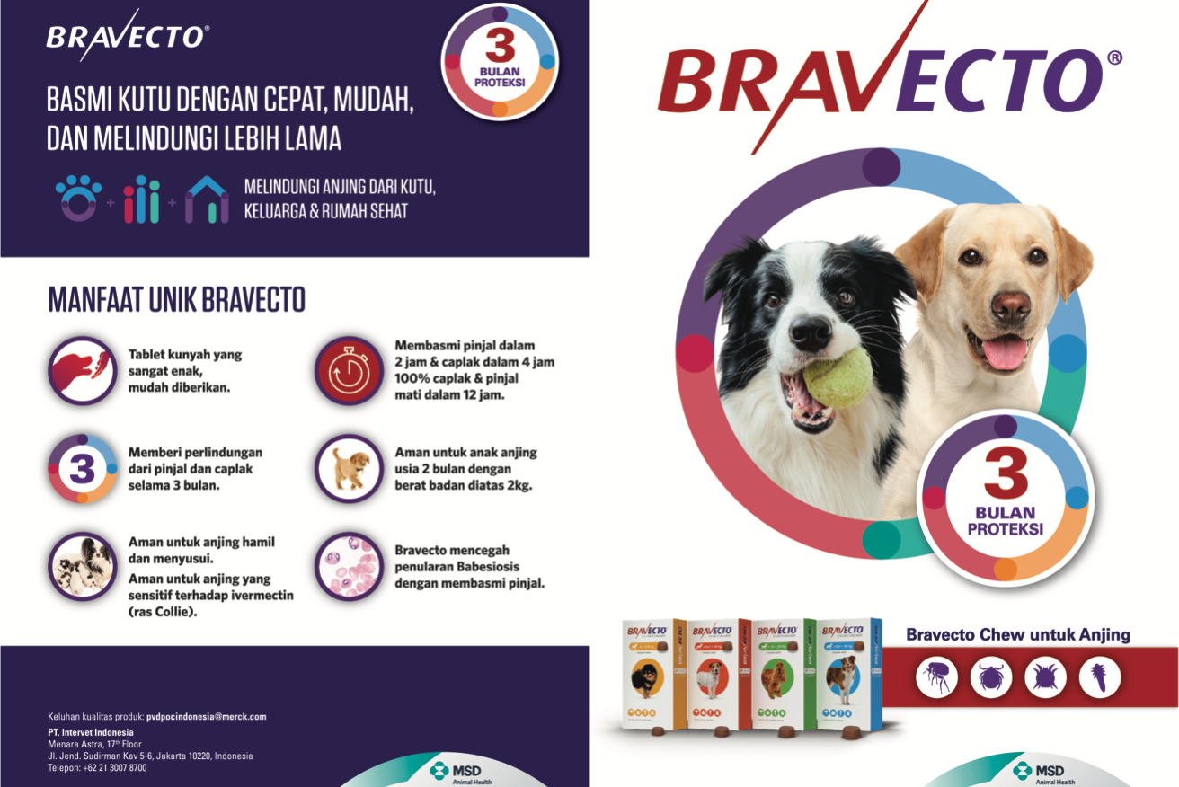 obat caplak anjing