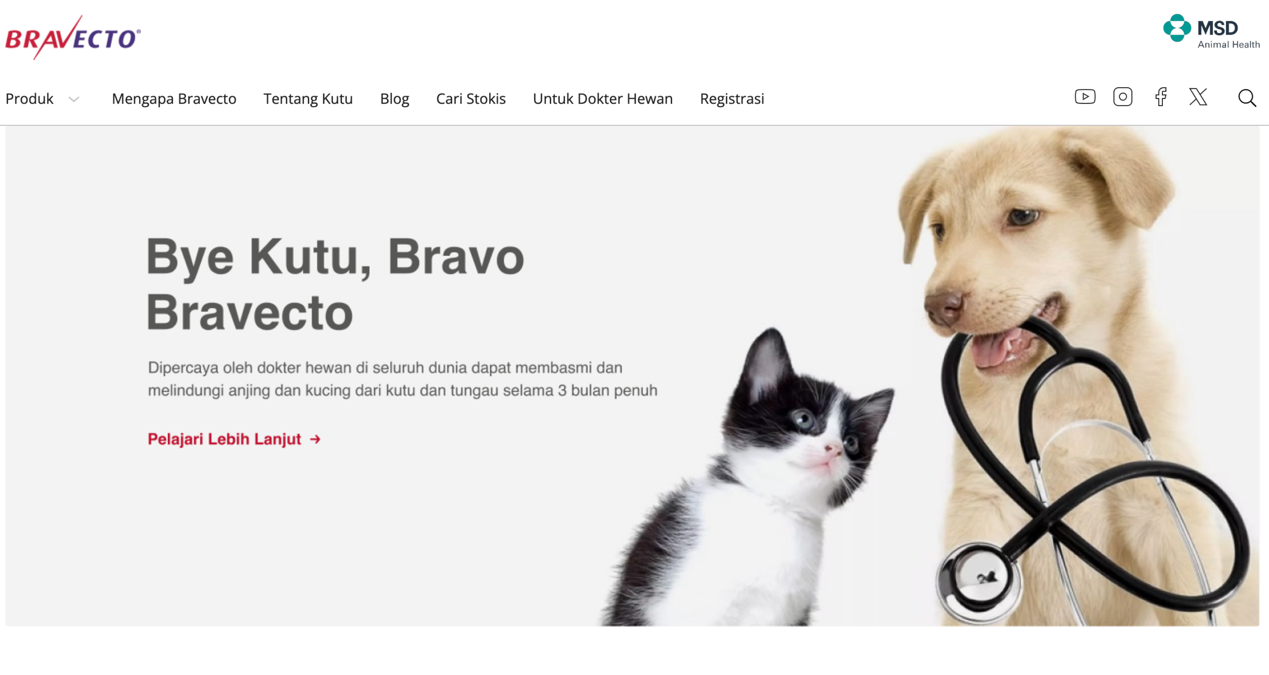 supplier bravecto
