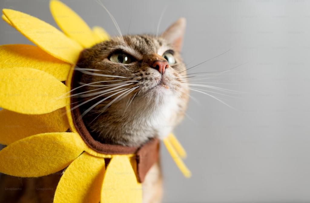 distributor obat hewan lamongan